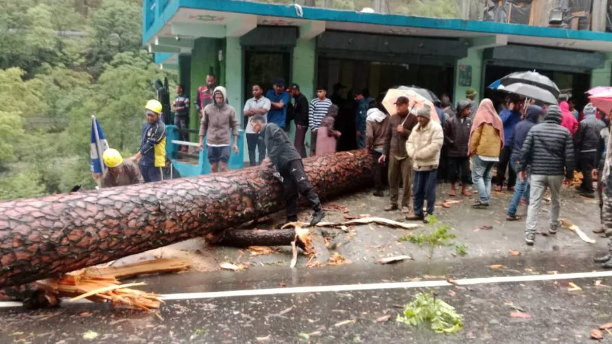 Uttarkashi में तूफान के साथ बारिश से यमुनोत्री हाईवे पर गिरा पेड़,होटल में घुसा पेड़ का हिस्सा,एक महिला की मौत