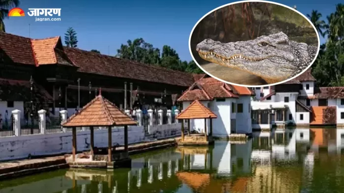 Anand Padmanabha Swamy Temple इस मंदिर में रहता है शाकाहारी मगरमच्छ।