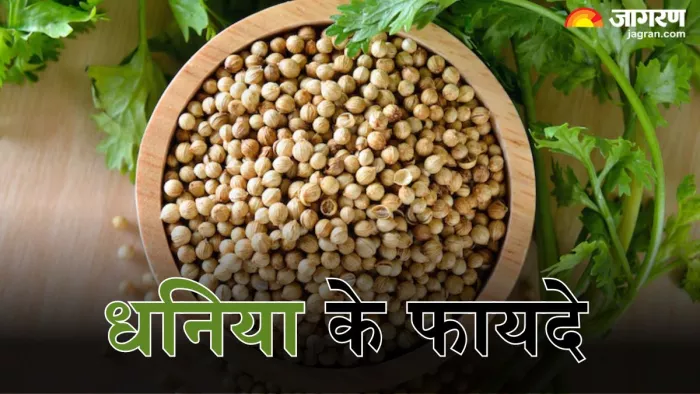 धनिया खाने से मिलेंगे ये 5 हैरान करने वाले फायदे