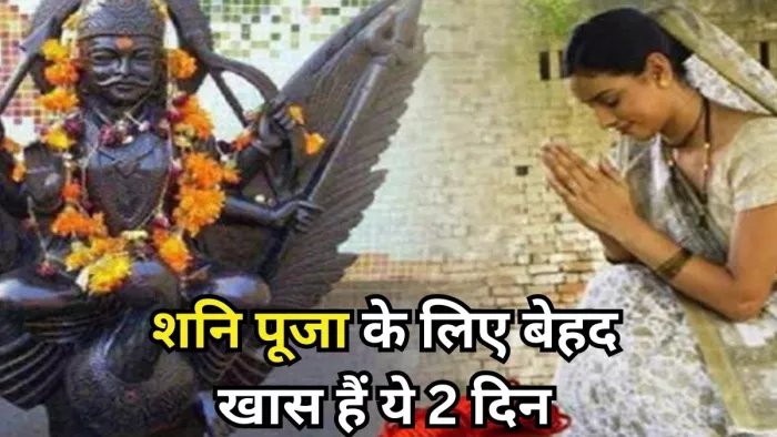 Shani Jayanti And Shani Vakri 2024: ज्योतिष शास्त्र उपाय -