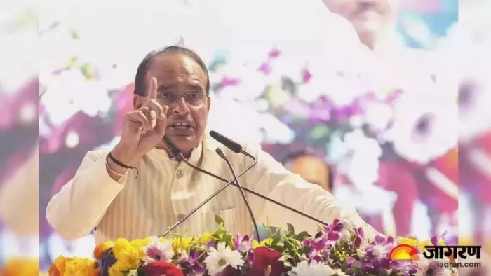 देश के किसानों ने नवाचार के जरिए उत्पादकता बढ़ाई। (फाइल फोटो)