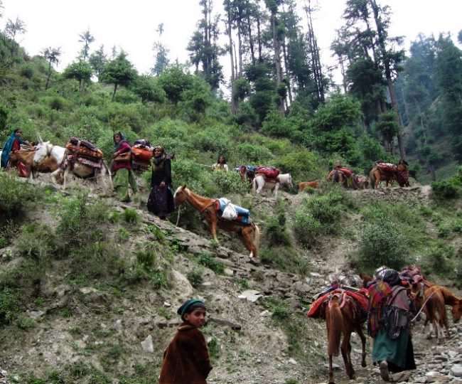 जनजातीय समुदायों की मदद के लिए तीन करोड़ रुपये का बजट भी तय किया है।