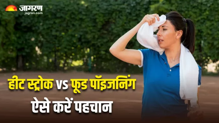 हीट स्ट्रोक और फूड पॉइजनिंग में क्या है अंतर? इन लक्षणों से करें पहचान (Image Source: Freepik)