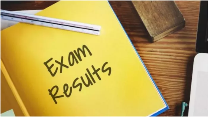 ICAI CA Result 2024 जुलाई के प्रथम सप्ताह में हो सकता है घोषित।