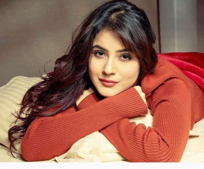Shehnaaz Gill का नया वीडियो हो रहा है वायरल, देखकर आपका दिल हो जाएगा खुश -  Bigg Boss Fame Actress Shehnaaz Gill Singing Punjabi Song Video Going Viral