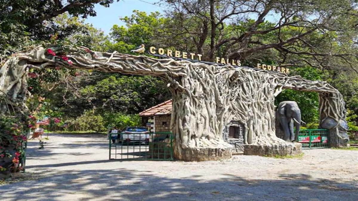https://www.jagranimages.com/images/newimg/25072022/25_07_2022-jim_corbett_65_22922176_9023436.jpg