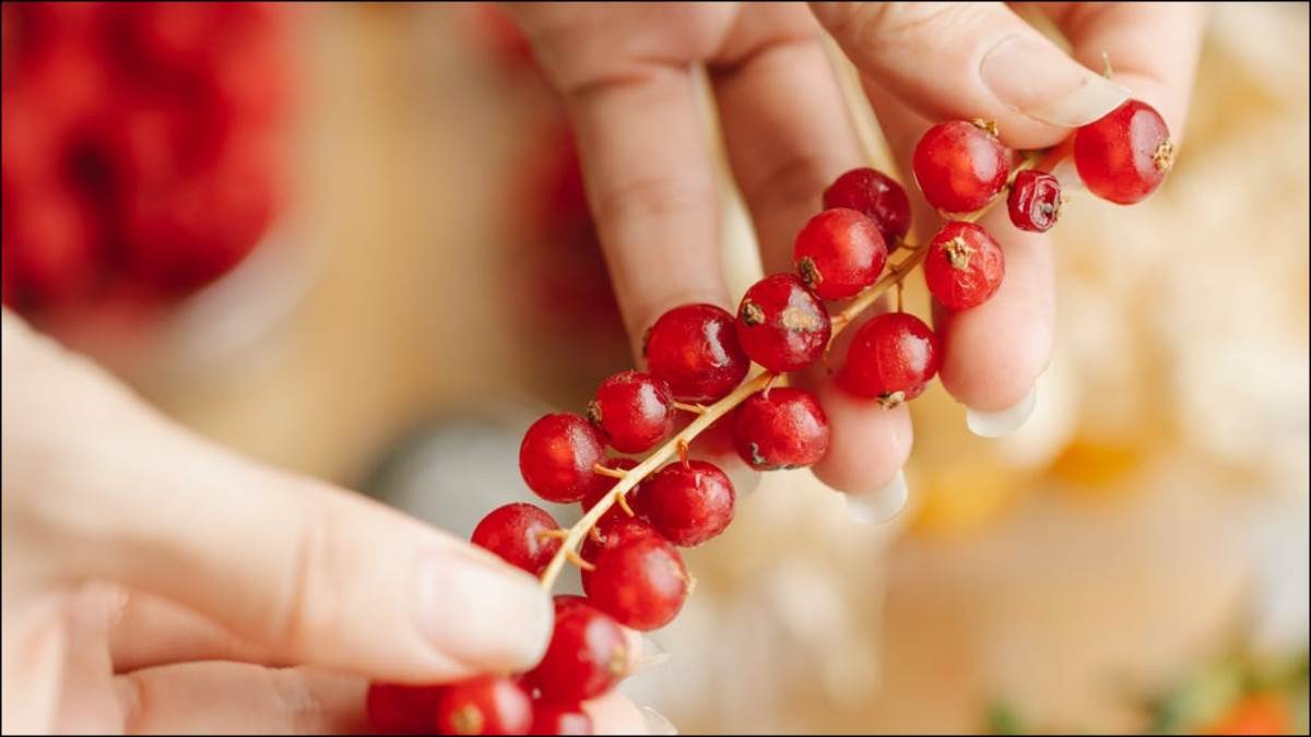 this one fruit can save you from uti in rainy season