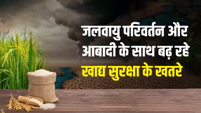 उत्पादन पर संकट के कारण गैर बासमती सफेद चावल निर्यात पर लगा प्रतिबंध, अगली फसल तक जारी रह सकती है रोक