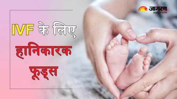IVF Treatment की सफलता में रोड़ा बन सकते हैं ये फूड्स (Picture Courtesy: Freepik)