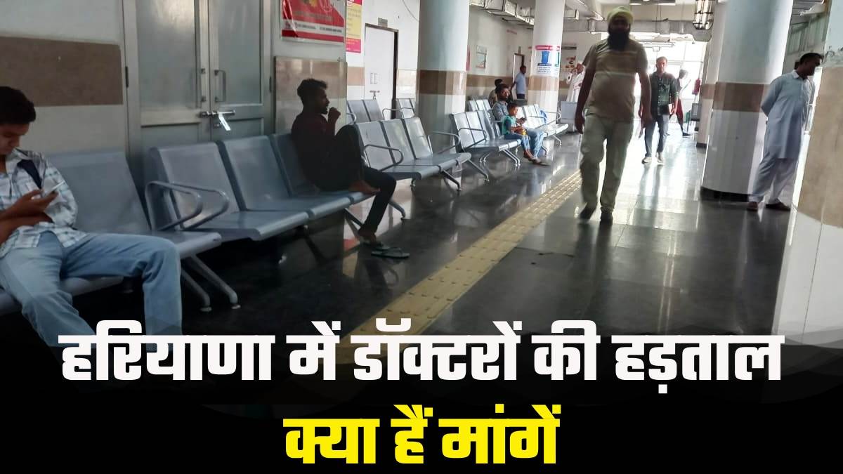 haryana doctors strike services halted in government hospitals what are the demands