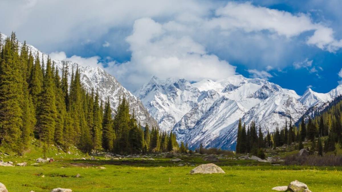 https://www.jagranimages.com/images/newimg/25072024/25_07_2024-kashmir_doodhpathri_valley_f_23764813.jpg
