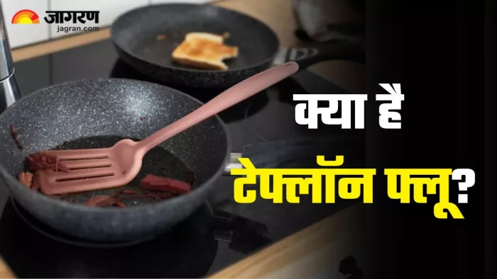 नॉनस्टिक बर्तनों से हो सकता है टेफ्लॉन फ्लू (Picture Credit- Freepik)