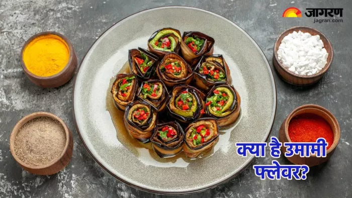 क्या है उमामी फ्लेवर (Pic credit- freepik)