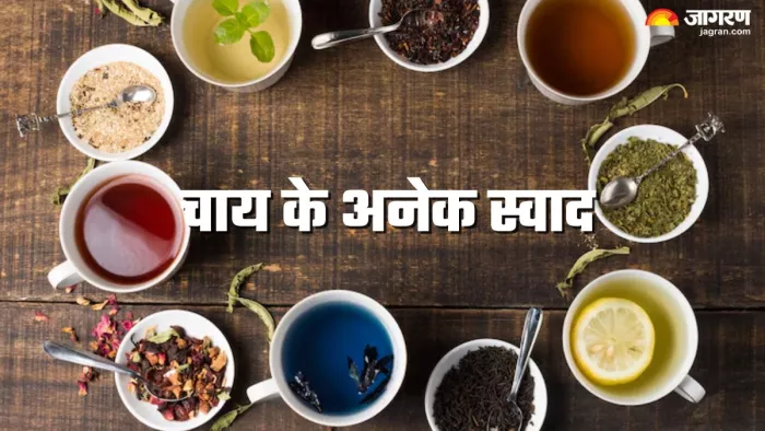 चाय के विविध रूप और स्वाद का अनोखा सफर (Picture Credit- Freepik)