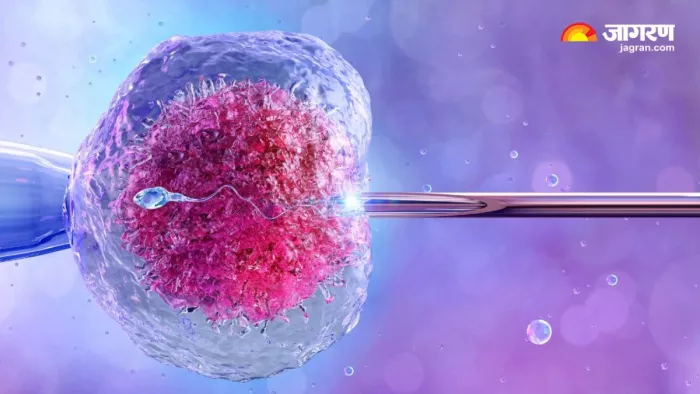 IVF का पूरा प्रोसेस: कैसे टेस्ट ट्यूब बेबी से शुरू होती है नई जिंदगी (Image Source: Freepik)