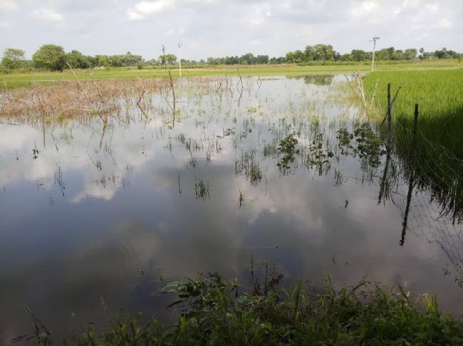 News Article Hero Image