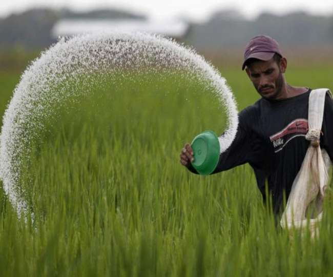 Now urea option available at Insta Gromore