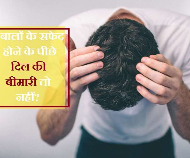 White Hair: समय से पहले बालों का सफेद होना कहीं दिल की बीमारी का संकेत तो नहीं? - Early Greying Of Hair Could Be A Sign Of Heart Disease White Hair: समय से पहले बालों का सफेद होना कहीं दिल की बीमारी का संकेत तो नहीं? - Early Greying Of Hair Could Be A Sign Of Heart Disease