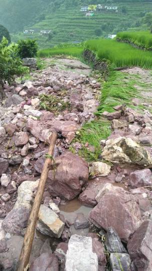 News Article Hero Image