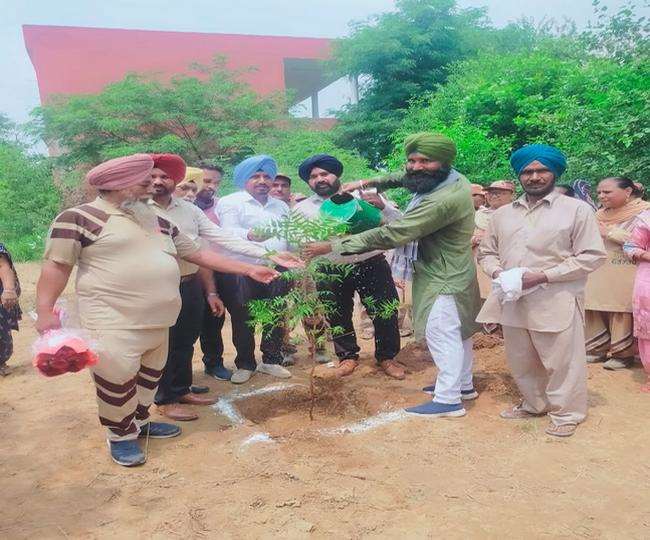 Van Mahotsav In Ludhiana जगराओं के साइंस कालेज में 4500 पौधे लगाकर