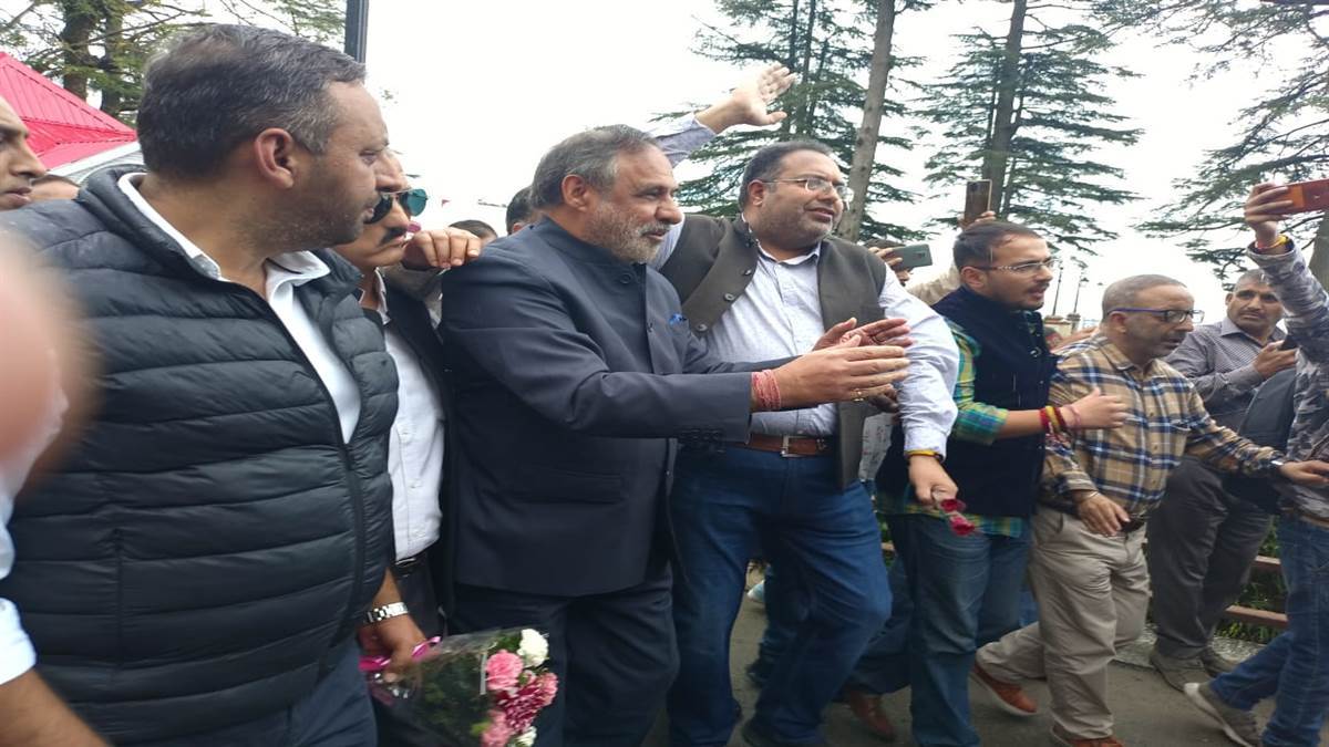 himachal politics anand sharma resigned from the election steering committee of himachal pradesh congress jagran special