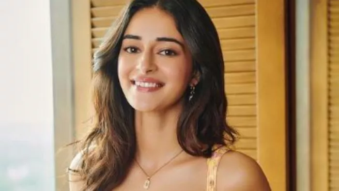 Dream Girl 2 Actress Ananya Panday Blush । Photo - Instagram