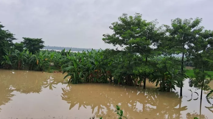 Bihar: उत्तर बिहार पर एक बार फिर बाढ़ का साया, बागमती नदी में एक बार फिर उफान