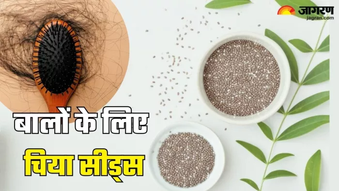 बालों के लिए ऐसे करें चिया सीड्स का इस्तेमाल (Picture Credit- Freepik)