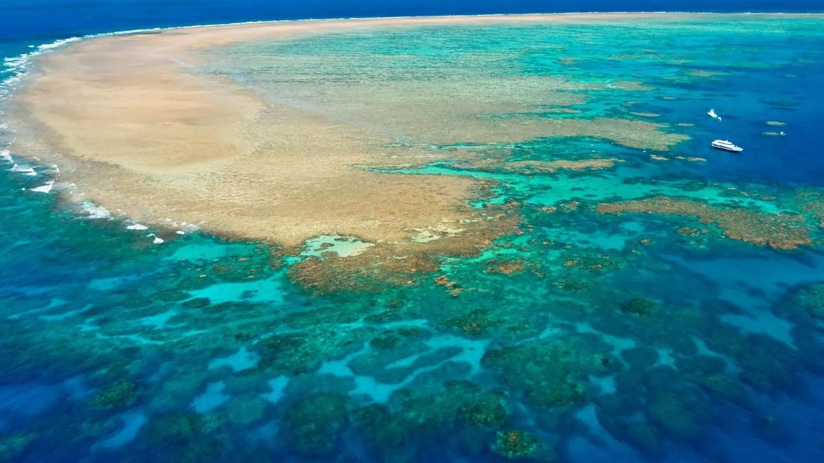 https://www.jagranimages.com/images/newimg/25082024/25_08_2024-great_barrier_reef_23784574.jpg