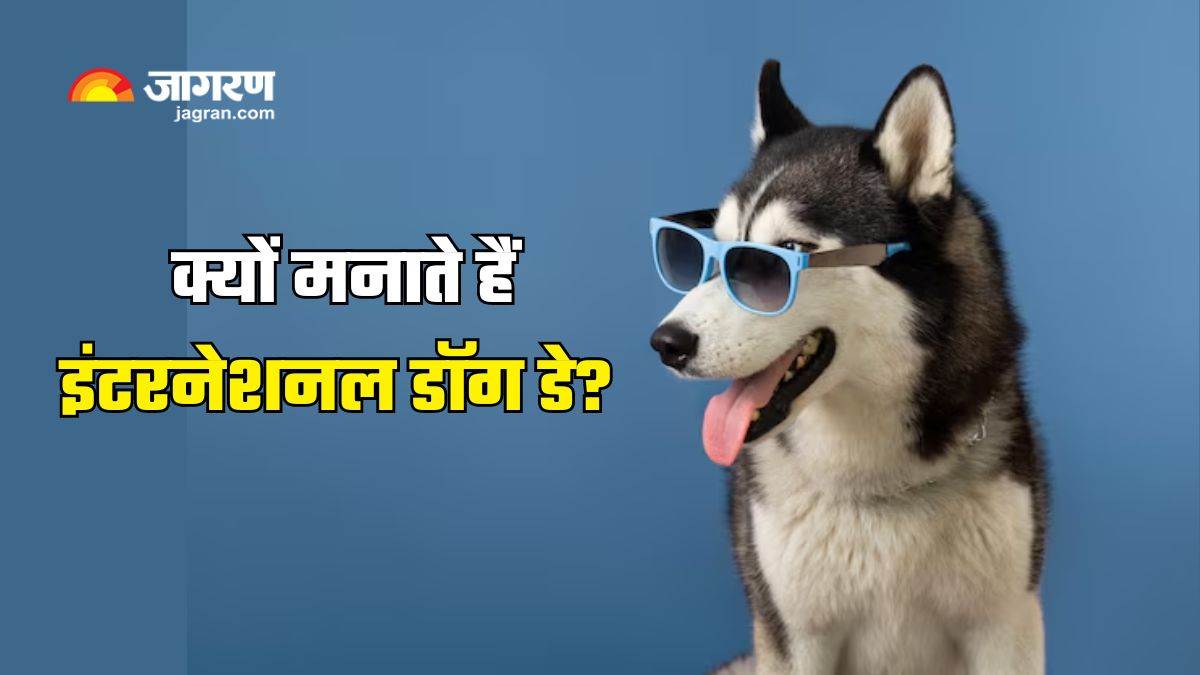 https://www.jagranimages.com/images/newimg/25082024/25_08_2024-international_dog_day_23784664.jpg