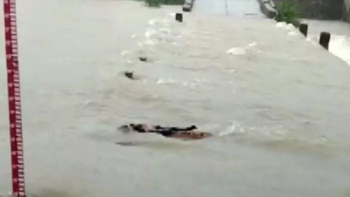 राजस्थान में बारिश से बुरा हाल (फाइल फोटो)