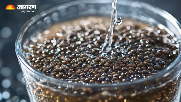 क्या वेट लॉस में फायदेमंद साबित हो सकता है Tadpole Water? (Image Source: Freepik)