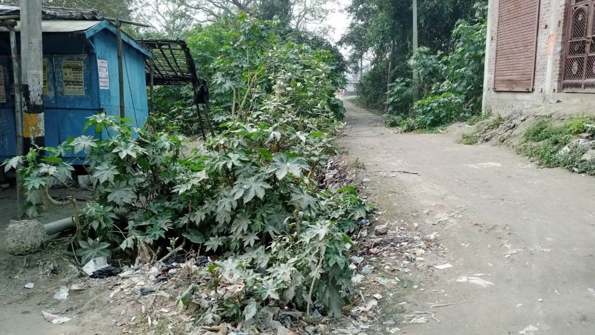 https://www.jagranimages.com/images/newimg/25082025/25_08_2025-gopalganj_24024241.jpg