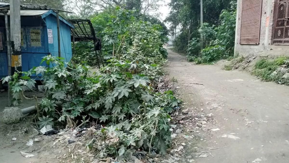 Gopalganj News: मुख्यमंत्री ग्रामीण सड़क उन्नयन योजना की रफ्तार धीमी, गांवों को जोड़ने का सपना अधूरा