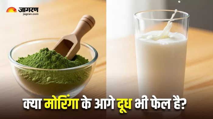 क्या शरीर को दूध से ज्यादा कैल्शियम दे सकता है मोरिंगा? (Image Source: AI-Generated)