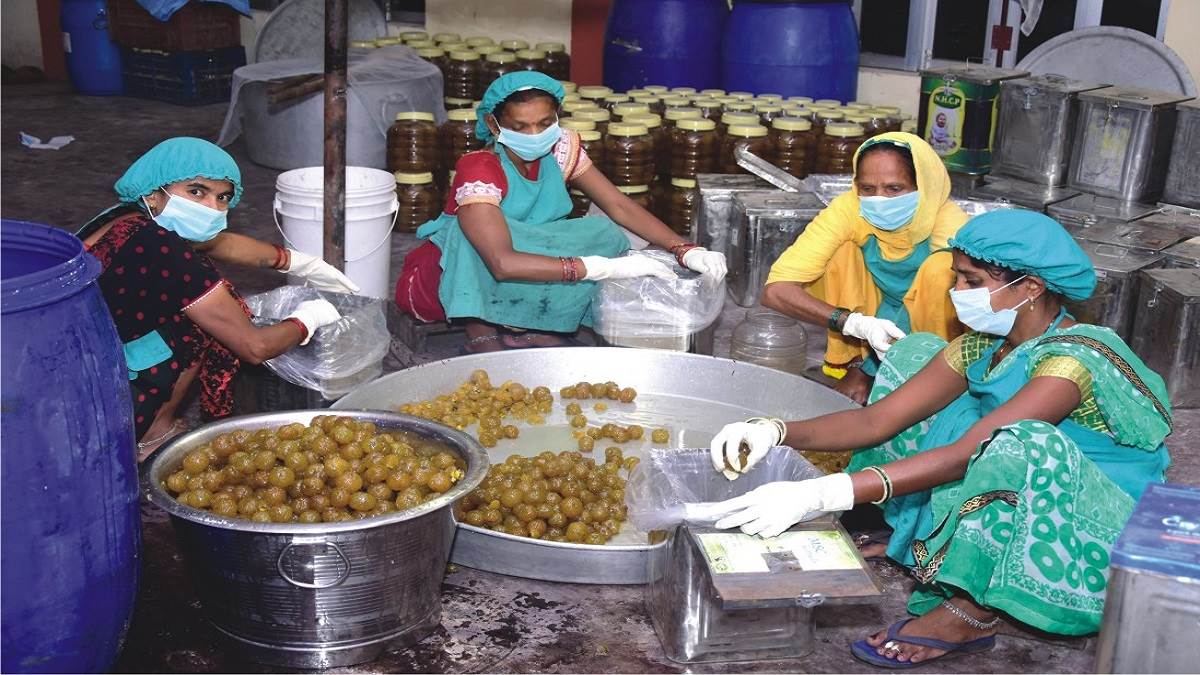 https://www.jagranimages.com/images/newimg/25082025/25_08_2025-pratapgarh_amla_24024890.jpg