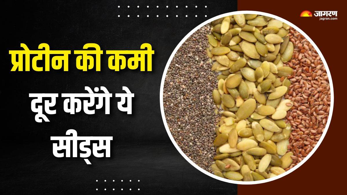 https://www.jagranimages.com/images/newimg/25082025/25_08_2025-protein_rich_seeds_1_24024145.jpg