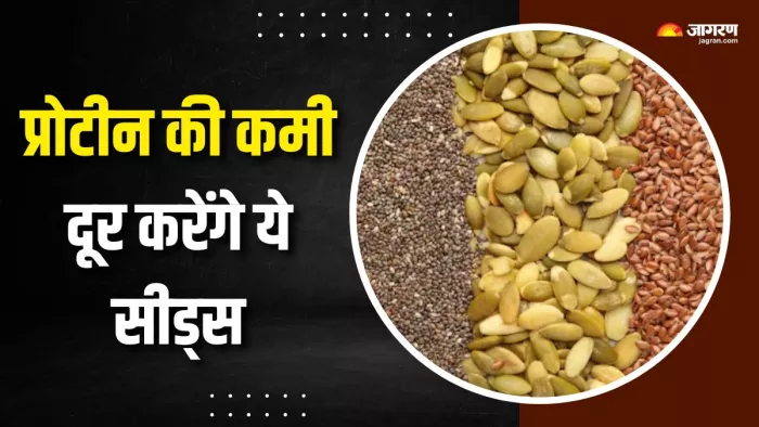 प्रोटीन की कमी पूरी करने के लिए इन सीड्स को करें डाइट में शामिल (Picture Courtesy: Freepik)