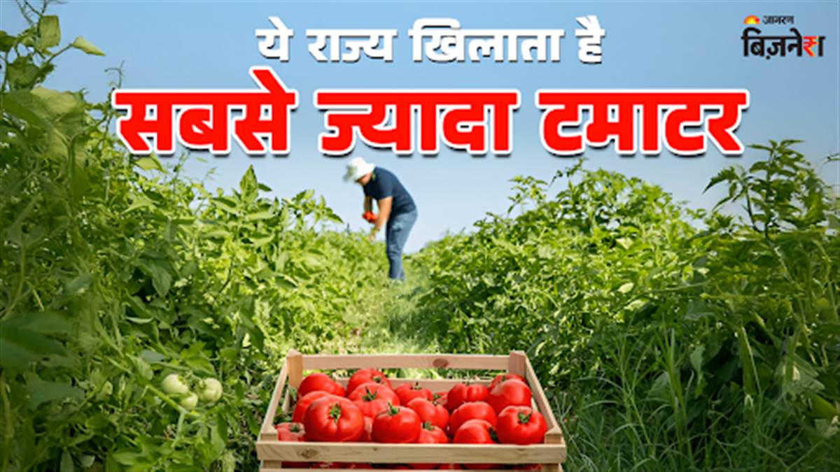 https://www.jagranimages.com/images/newimg/25082025/25_08_2025-tomato_24024128.jpg