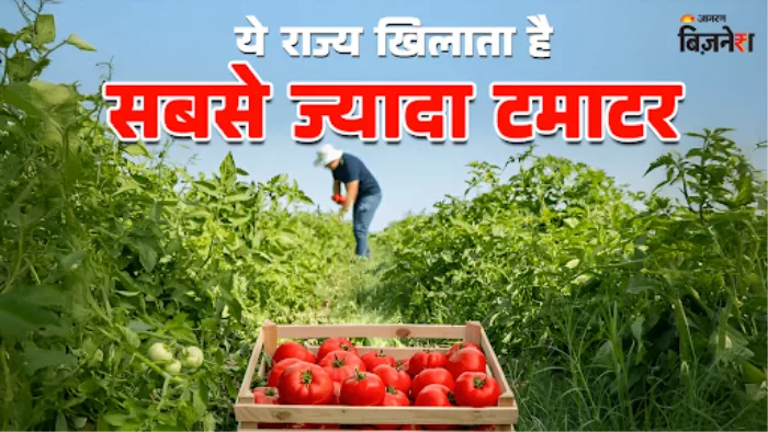टमाटर उत्पादन में दूसरे नंबर पर भारत
