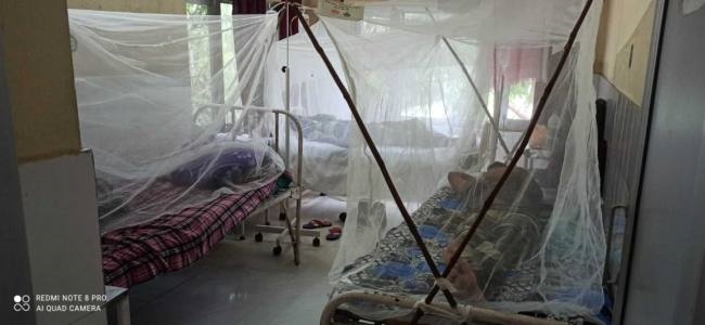डेंगू का कहर.. एक दिन में सबसे ज्यादा 55 मरीज मिले, वीरवार को नहीं हुए टेस्ट इसलिए बढ़े केस