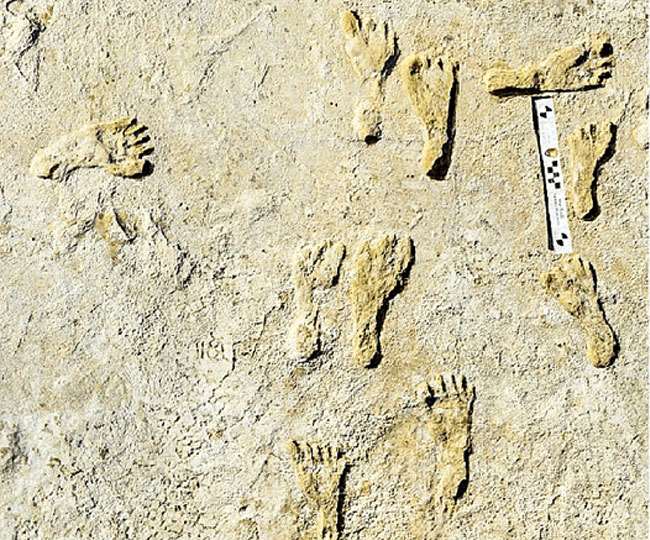 इसे एक बड़ी उपलब्धि के रूप में देखा जा रहा है।