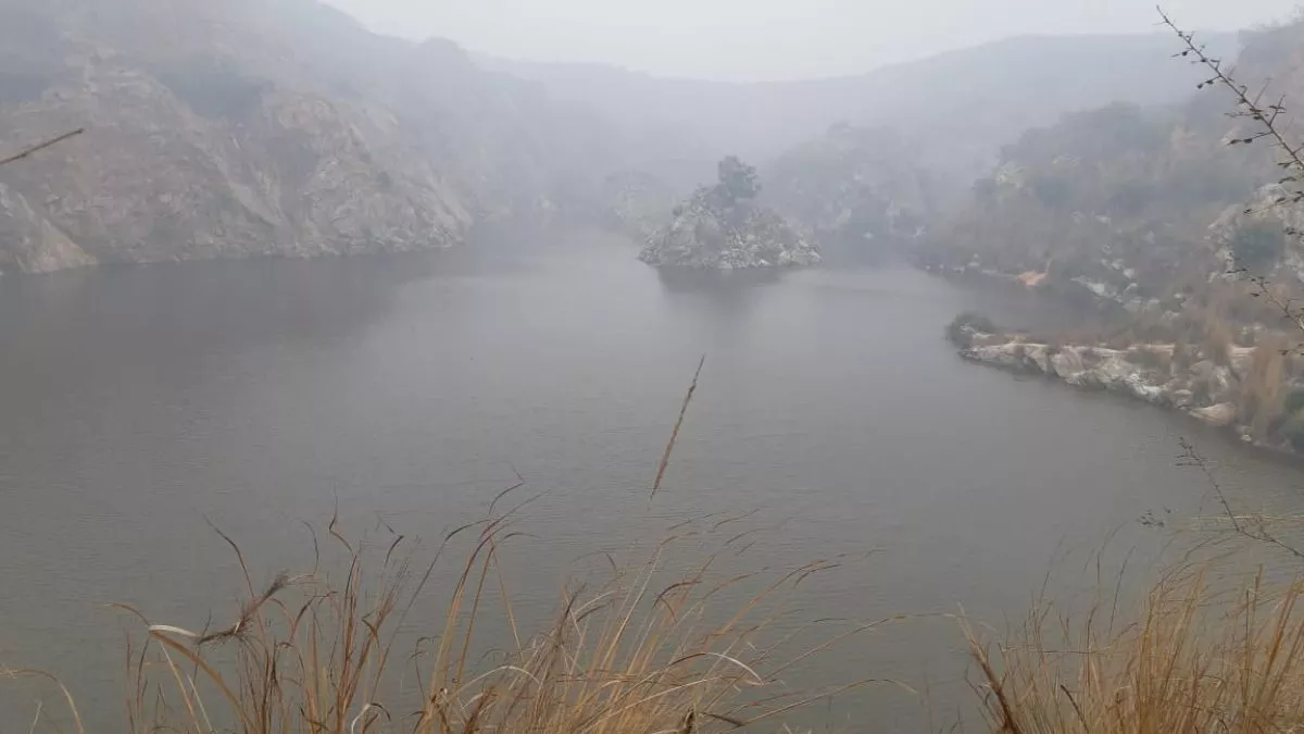 Gurugram News: वन्य जीवों के लिए वरदान बनी मूसलाधार बारिश, अरावली पहाड़ी में तालाब हुए लबालब; रायसीना में जुटे पर्यटक