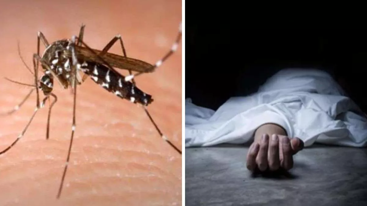 Bareilly News: जिले में बढ़ रहा डेंगू का प्रकोप, प्रधान के पति के बाद अब एक महिला की गई जान
