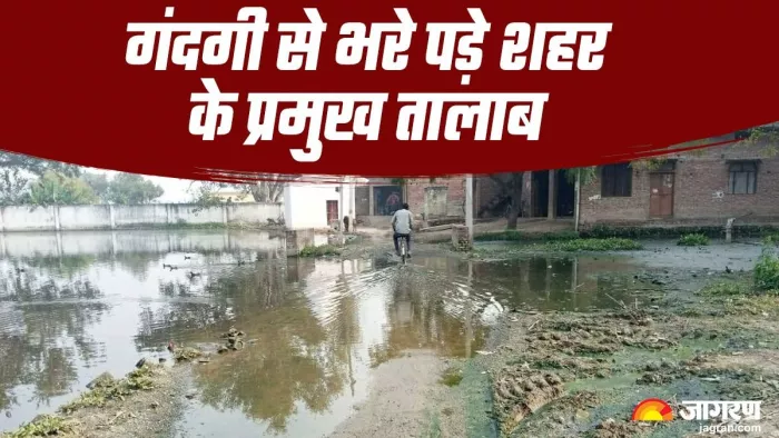 निगम के आदेश की उड़ रहीं धज्जियां