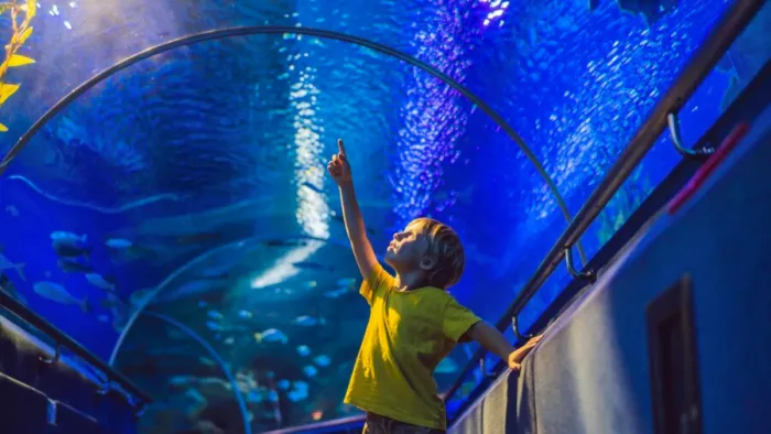 Dubai with Kids: बच्चों के साथ दुबई में यहां घूमने का बनाएं प्लान