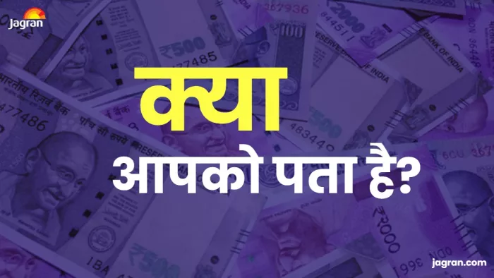 लॉकर में रखे 18 लाख रुपये चट कर गए दीमक, खाताधारक ने देखा तो उड़े होश, अब हो रही जांच