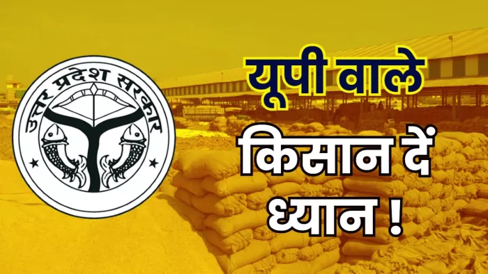 UP News : 1 अक्टूबर से शुरू हो रही यूपी में धान की सरकारी खरीद