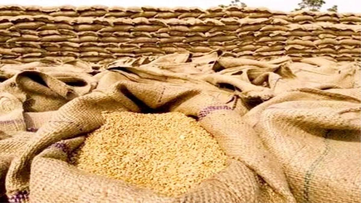 https://www.jagranimages.com/images/newimg/25092023/25_09_2023-wheat_inside_1_23539798_212532364.jpg