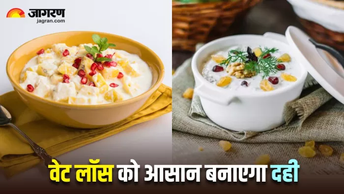 वजन घटाने में मदद करेंगी दही से बनने वाली ये 5 डिशेज (Image Source: Freepik)